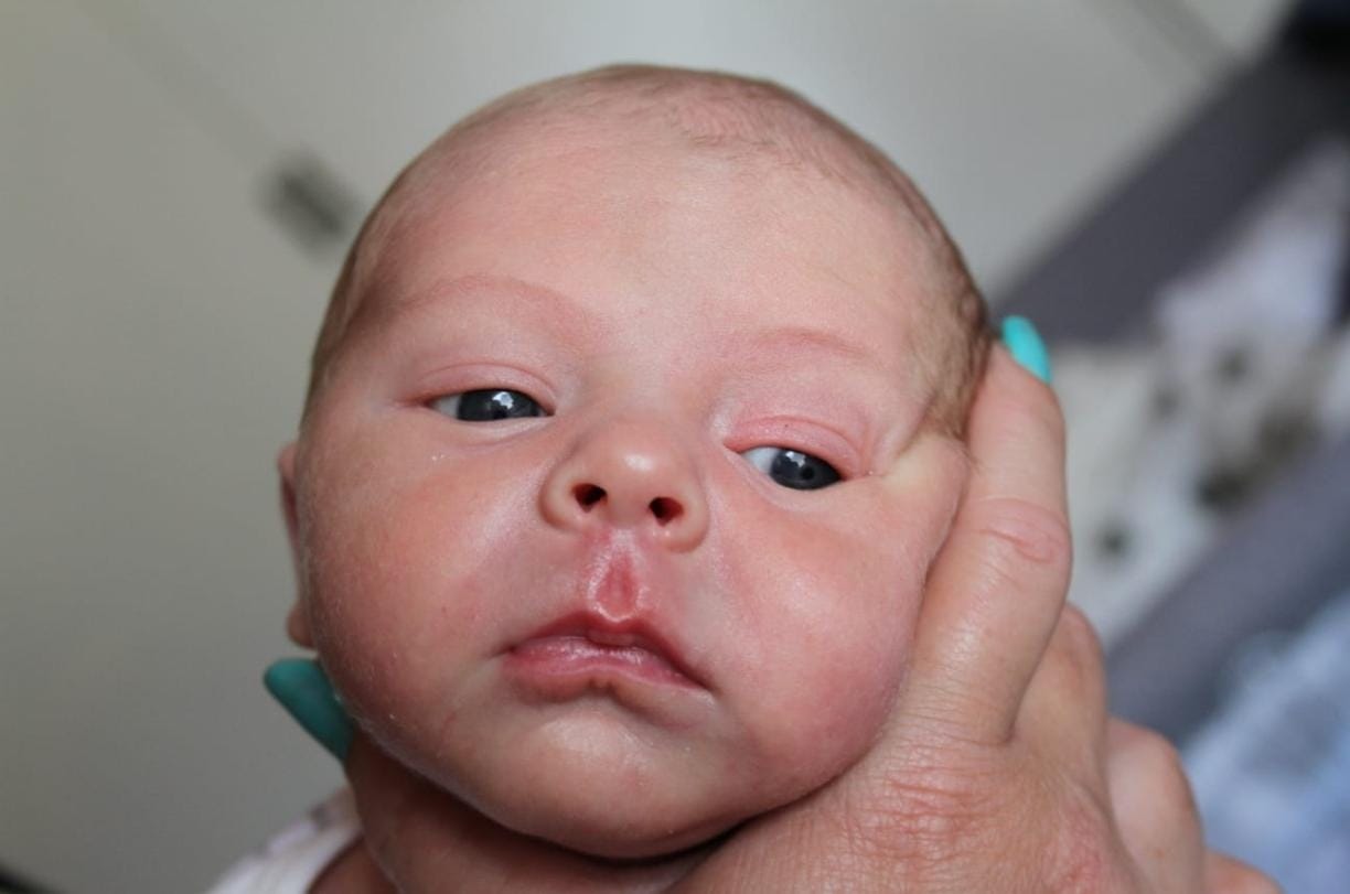 WhatsApp Image 2026-02-17 at 19.18.49